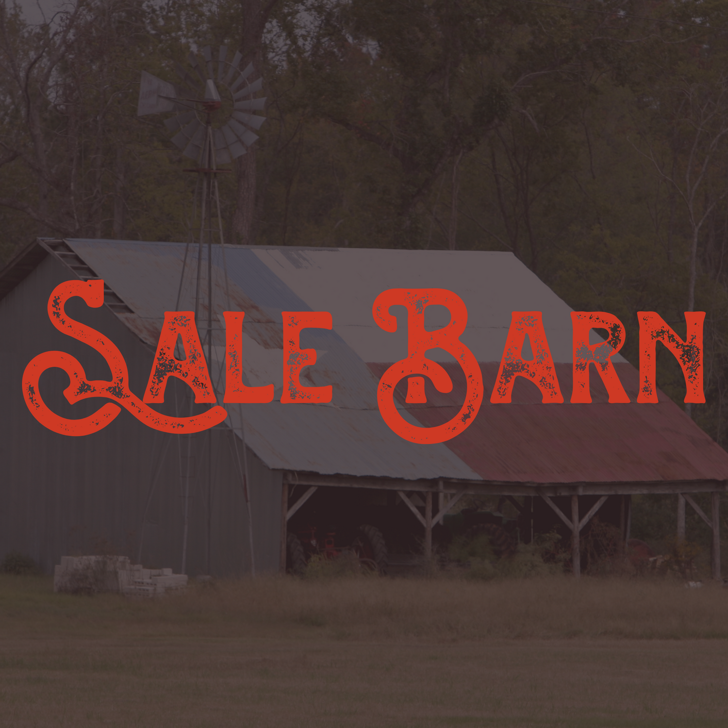 Sale Barn- Where everything is discounted